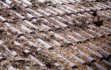 Lindale roof cleaning companies